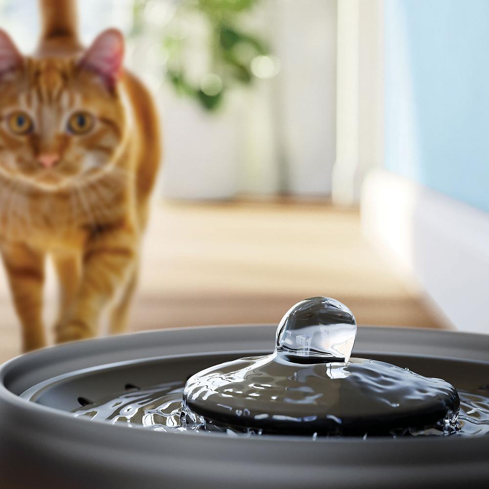 QVC Philips Fontanella Automatica Per Animali Domestici Con Filtro