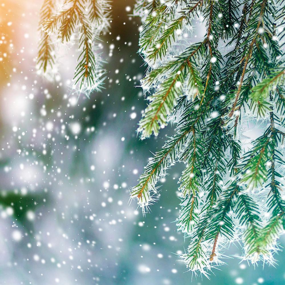 QVC Price's Candles Set 3 Diffusori Per Ambienti Con Fragranze Seasonal