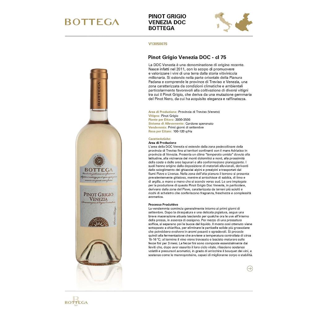 QVC Bottega Pinot Grigio DOC Venezia (6 Bottiglie)