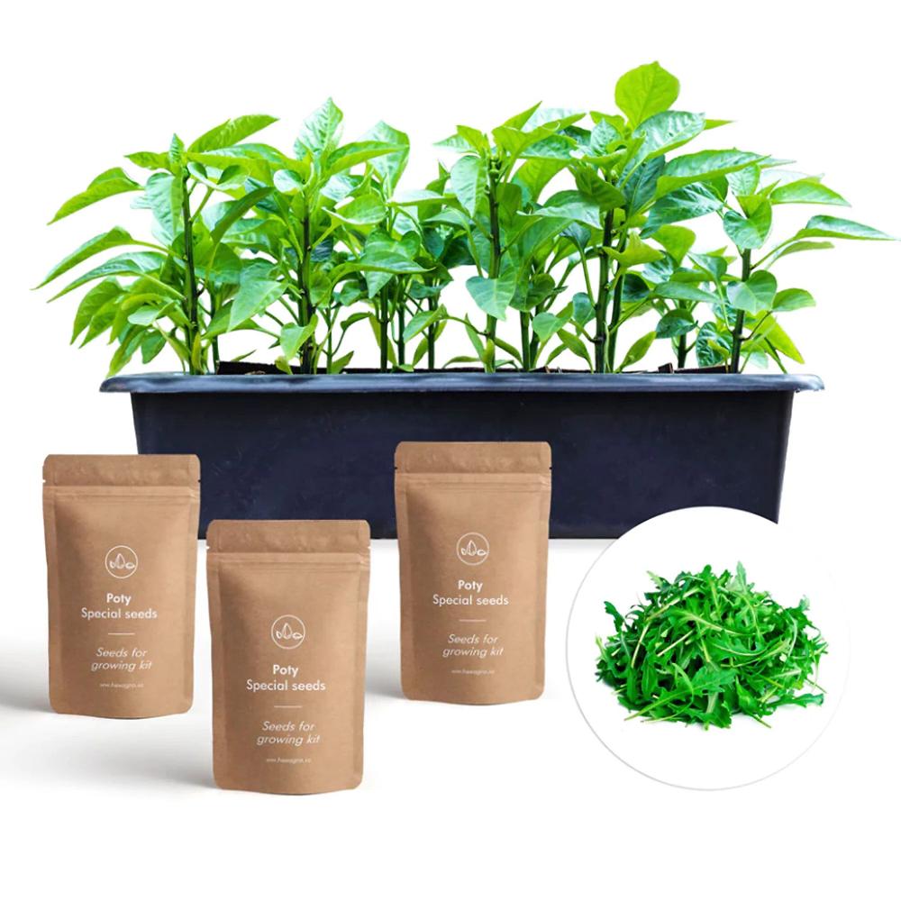 QVC Hexagro Kit di coltivazione per 20 piante