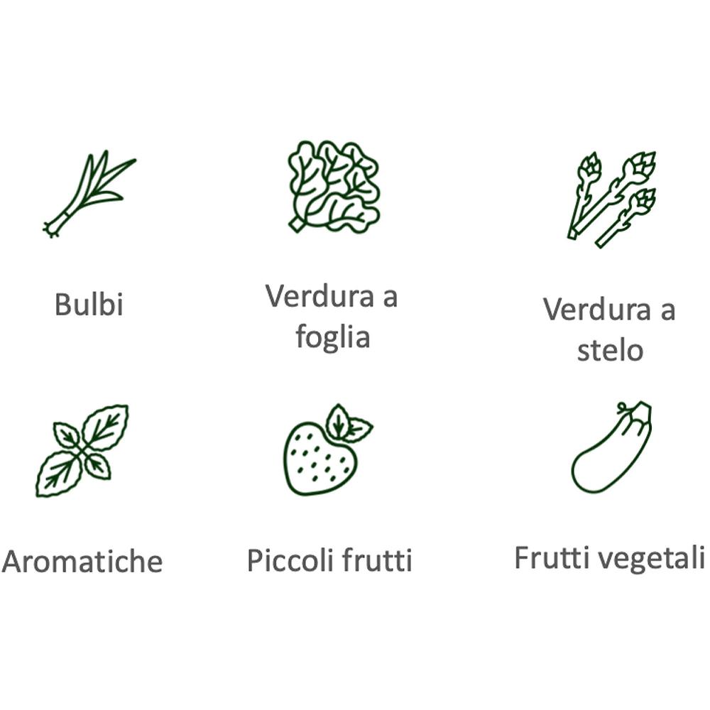 QVC Hexagro Poty L: Kit Per 40 Piante
