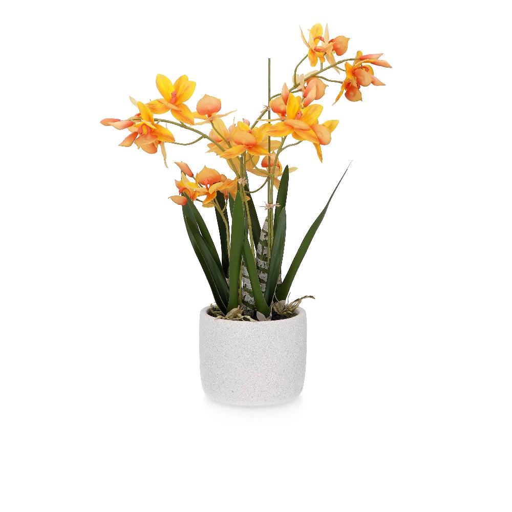 QVC Home Reflections Vaso con orchidee finte