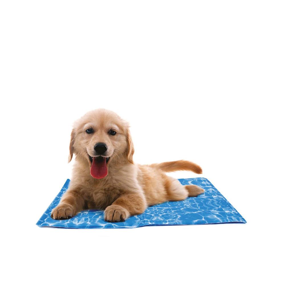 QVC Lovely Home Cuscino refrigerante Doggy