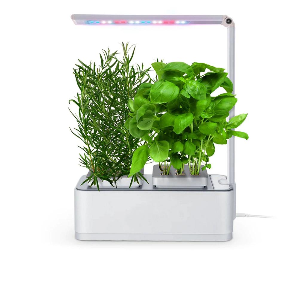 QVC Ninfa Clizia Smart Garden orto da interno