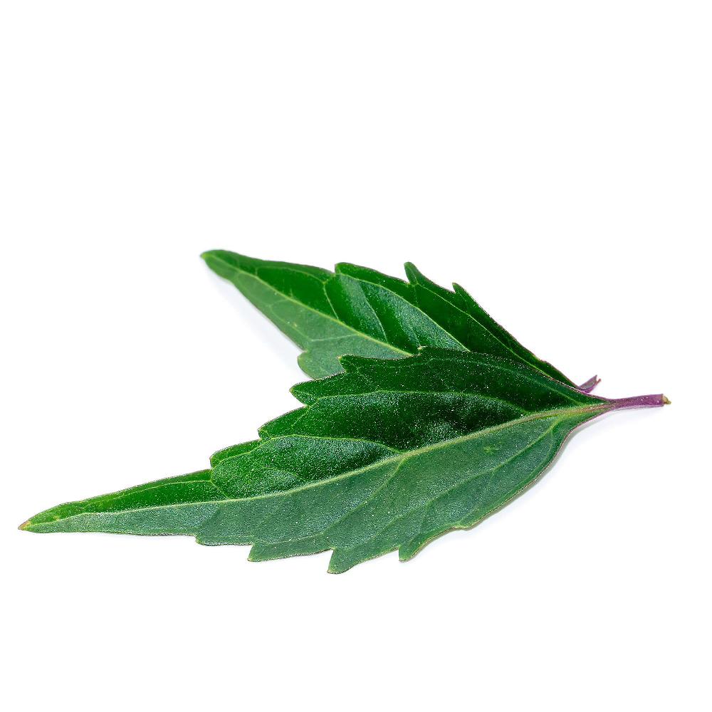 QVC S4+ Integratore Alimentare Silhouette 2x28 Stick