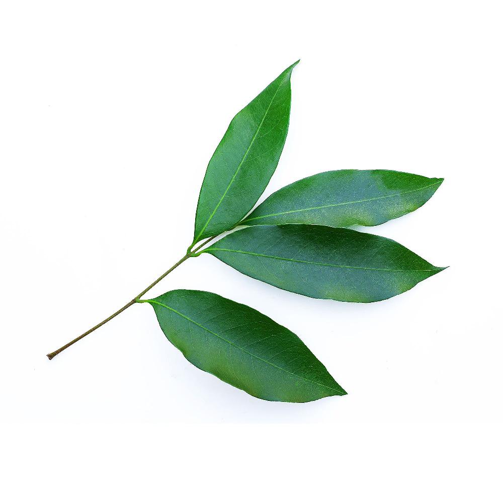 QVC S4+ Integratore Alimentare Silhouette 2x28 Stick