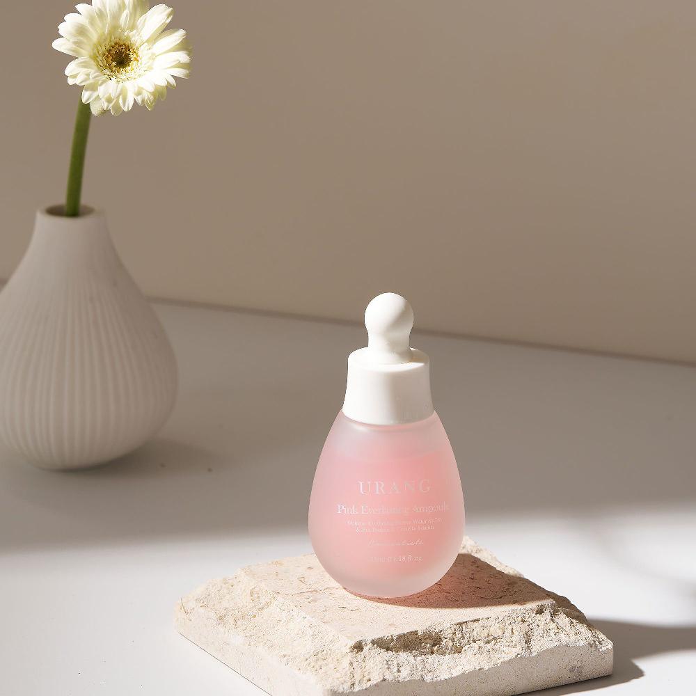 QVC Urang Siero Viso Pink Everlasting Ampoule Con Elicriso