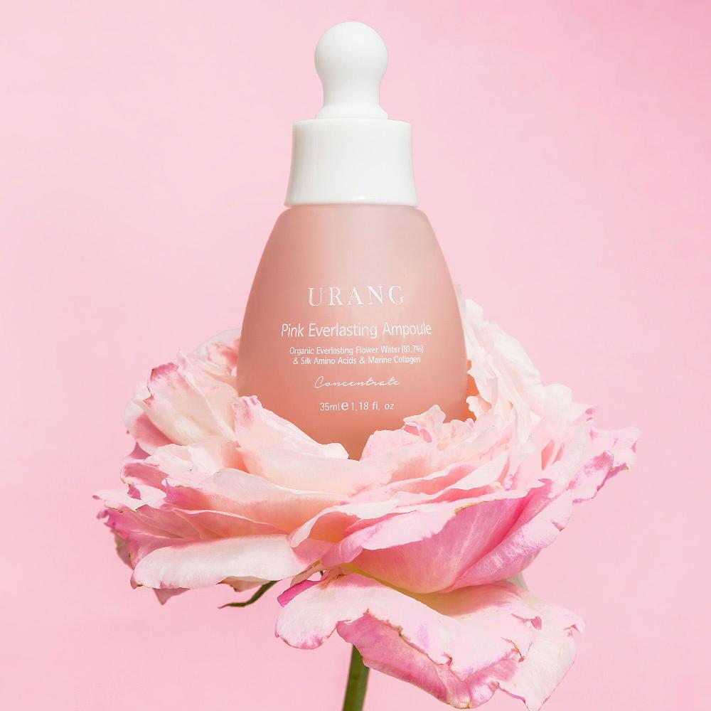 QVC Urang Siero Viso Pink Everlasting Ampoule Con Elicriso