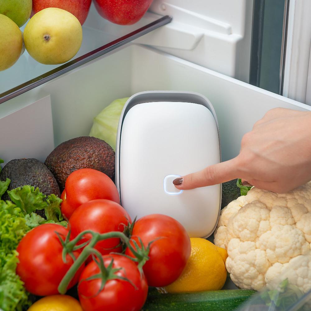 QVC Vitesy Shelfy Purificatore Frigorifero Prolunga Freschezza Del Cibo