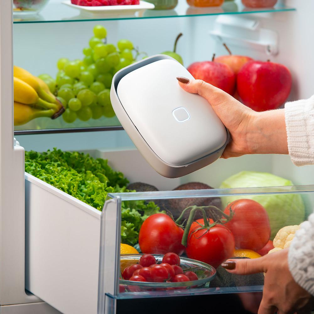 QVC Vitesy Shelfy Purificatore Frigorifero Prolunga Freschezza Del Cibo
