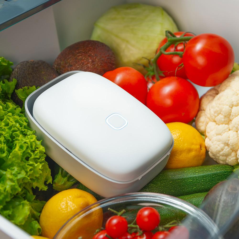 QVC Vitesy Shelfy Purificatore frigorifero prolunga freschezza del cibo