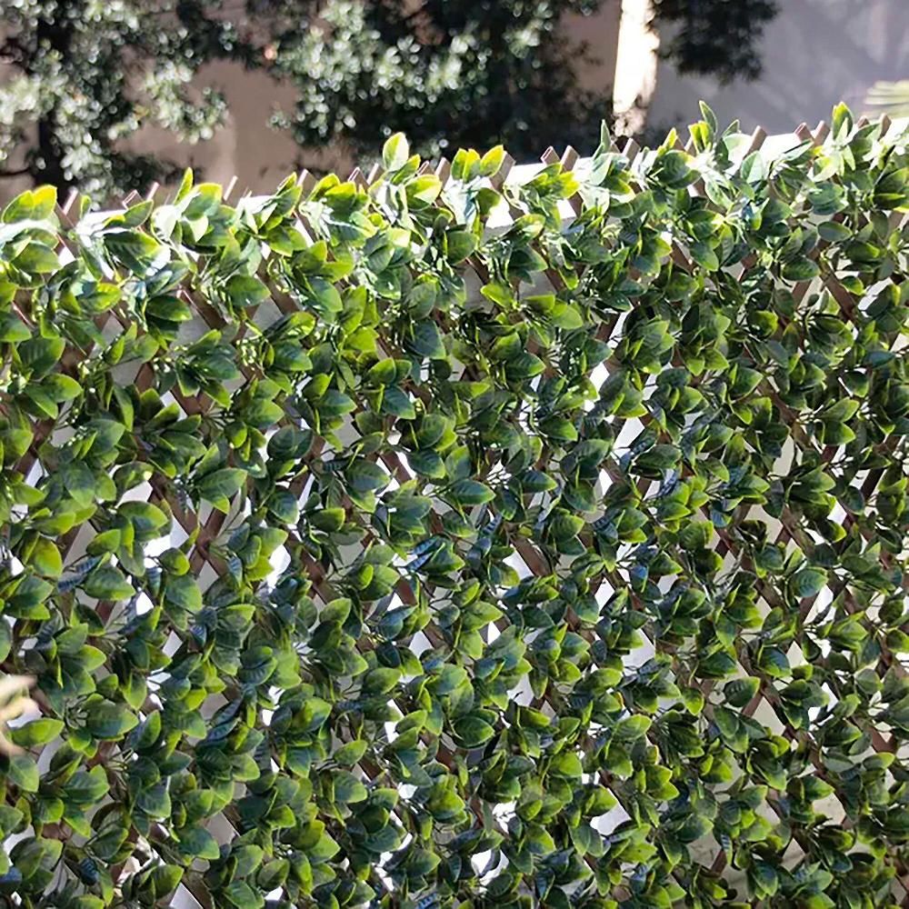 QVC Zambetti outdoor Traliccio con edera artificiale 1x2 metri