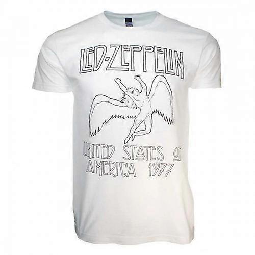 Amplified Unisex Adult The Song Remains The Same Vintage T-Shirt