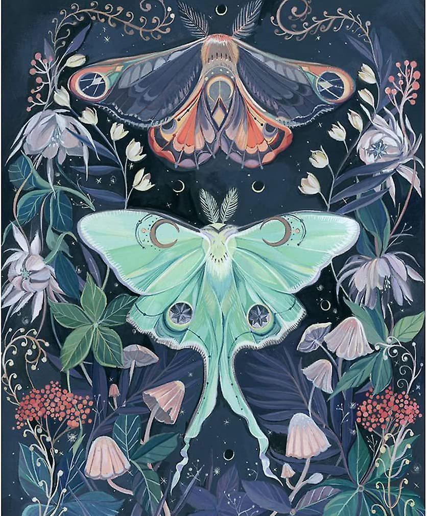 Dww-30x40 cm 5D Peinture Diamant FAI DA TE Complet Dessin anim animal srie diamant peinture FAI DA TE Diamond Strass Toile Point de Croix Painting par Numro pour