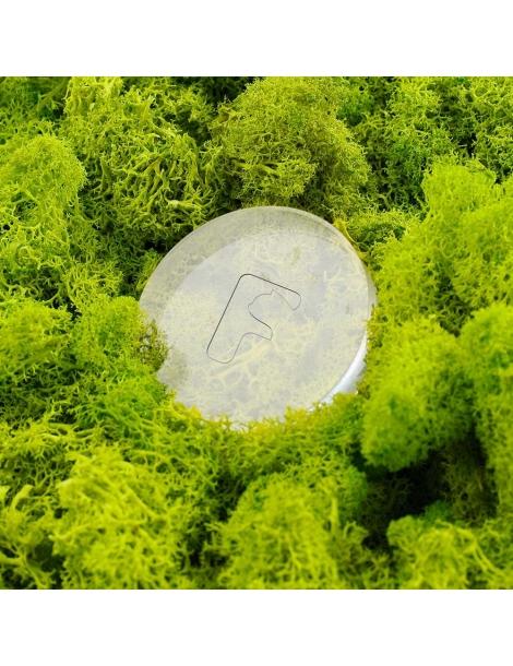 Barretta Deodorante Furbulous Per La Rimozione Degli Odori - 3 Pezzi