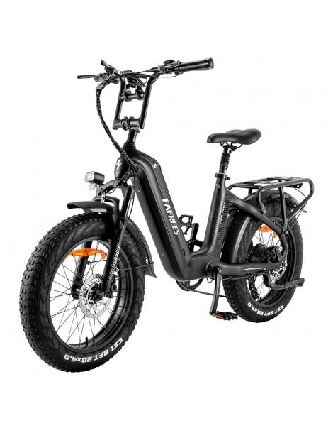 FAFREES F20 Master E-bike 20*4.0 Pollici Pneumatico 500W Trazione Posteriore 25km/h Velocità Massima-Nero