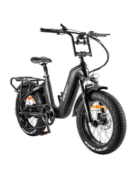 FAFREES F20 Master E-bike 20*4.0 Pollici Pneumatico 500W Trazione Posteriore 25km/h Velocità Massima-Nero