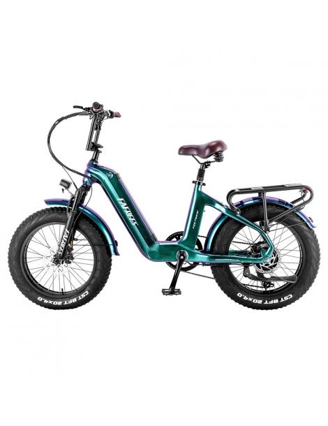 FAFREES F20 Master E-bike 20*4.0 Pollici Pneumatico 500W Trazione Posteriore 25km/h Velocità Massima-Verde