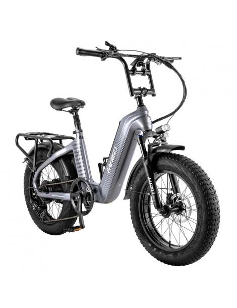 FAFREES F20 Master E-bike 20*4.0 Pollici Pneumatico 500W Trazione Posteriore 25km/h Velocità Massima- Grigio