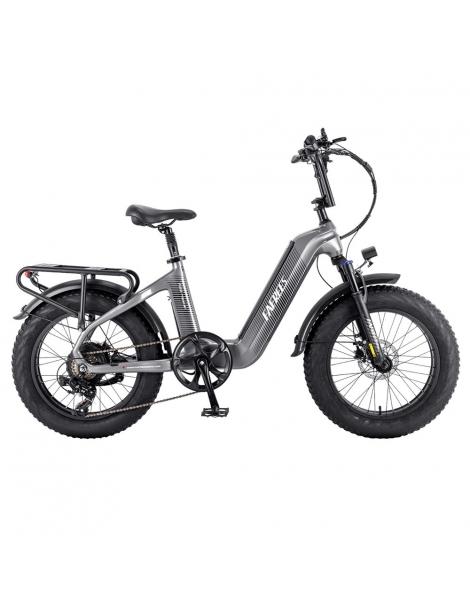 FAFREES F20 Master E-bike 20*4.0 Pollici Pneumatico 500W Trazione Posteriore 25km/h Velocità Massima- Grigio