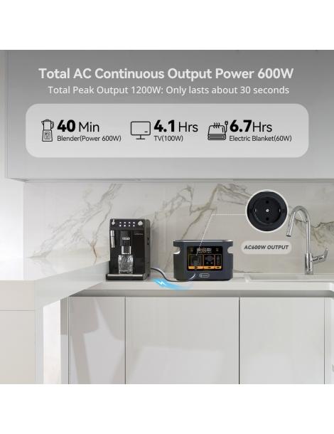 Flashfish QE01D Stazione Di Alimentazione Portatile Batteria Da 22 4V/20Ah 448Wh Uscita CA Da 600W