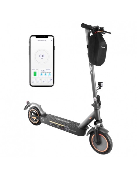 HONEYWHALE E9 MAX Con Omologazione Stradale (ABE) Scooter Elettrico Pieghevole Con Motore Da 500W Batteria Da 36V 10Ah