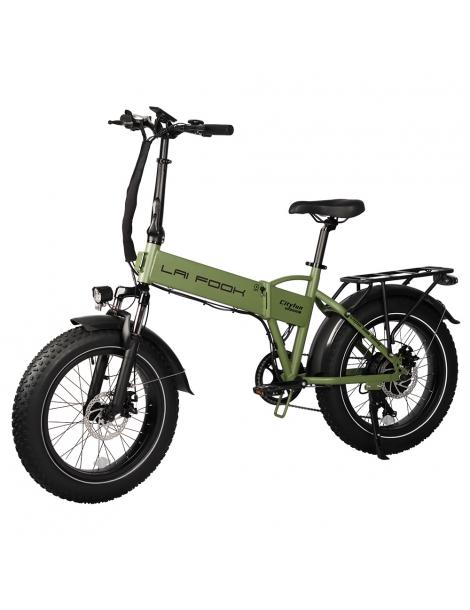 LAIFOOK Cityfun Bici Elettrica Pieghevole Motore Brushless 250W Batteria 48V 10.4AH Pneumatici Grassi 20 X 4.0" - Verde
