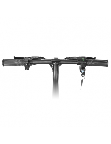 LAIFOOK Dolphin Bici Elettrica Pieghevole Motore 250W Batteria 36V 7.8AH Pneumatico 14 Pollici - Nero