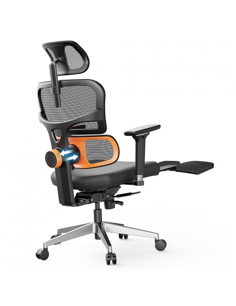 NEWTRAL Chair Pro NT002 Sedia ergonomica adattiva con supporto per la parte bassa della schiena