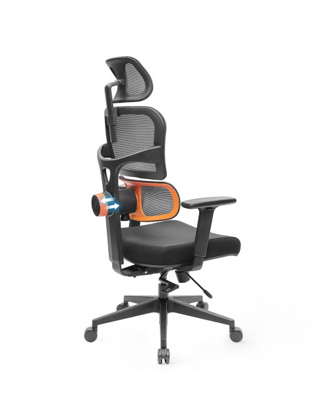 NEWTRAL Sedia Standard NT001 Sedia Ergonomica Adattiva Con Supporto Per La Parte Bassa Della Schiena