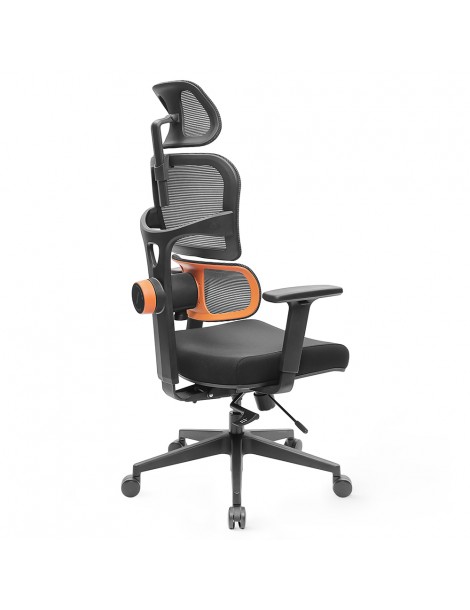 NEWTRAL Sedia Standard NT001 Sedia ergonomica adattiva con supporto per la parte bassa della schiena
