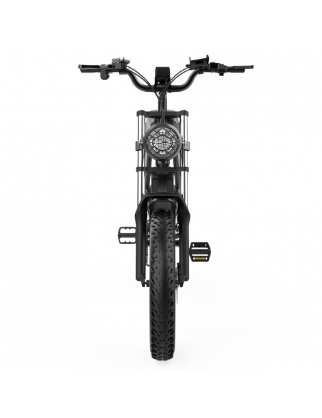 Ridstar Q20 Electric Bike 1000W Brushless Motor 20*4 Inch Fat Tires 48V 20Ah Removable Battery 30mph Max Speed