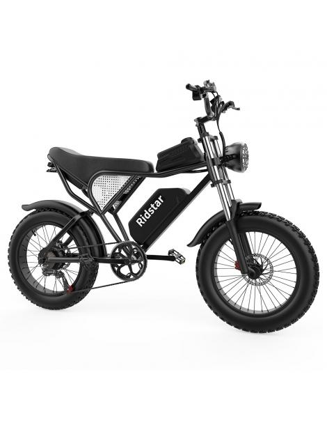 Ridstar Q20 Electric Bike 1000W Brushless Motor 20*4 Inch Fat Tires 48V 20Ah Removable Battery 30mph Max Speed