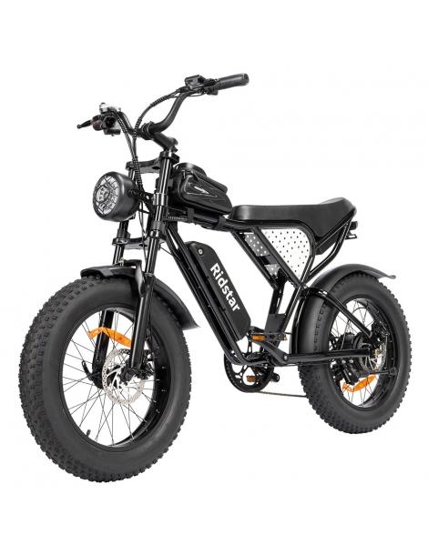 Ridstar Q20 Mini Electric Bike Motore 1000W Batteria 48V 15AH Pneumatici Grassi 20*4.0 Pollici Velocità Massima 40km/h