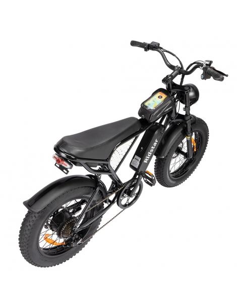 Ridstar Q20 Mini Electric Bike Motore 1000W Batteria 48V 15AH Pneumatici Grassi 20*4.0 Pollici Velocità Massima 40km/h