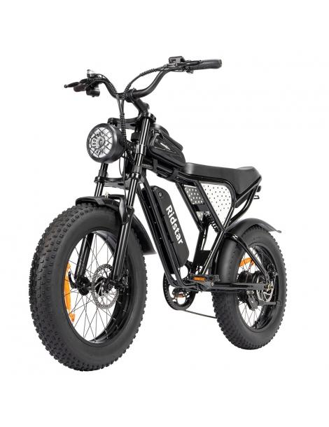 Ridstar Q20 Mini Electric Bike Motore 1000W Batteria 48V 15AH Pneumatici Grassi 20*4.0 Pollici Velocità Massima 40km/h