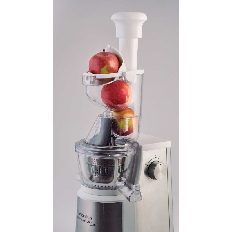 Ariete CENTRIKA SLOW JUICER METAL