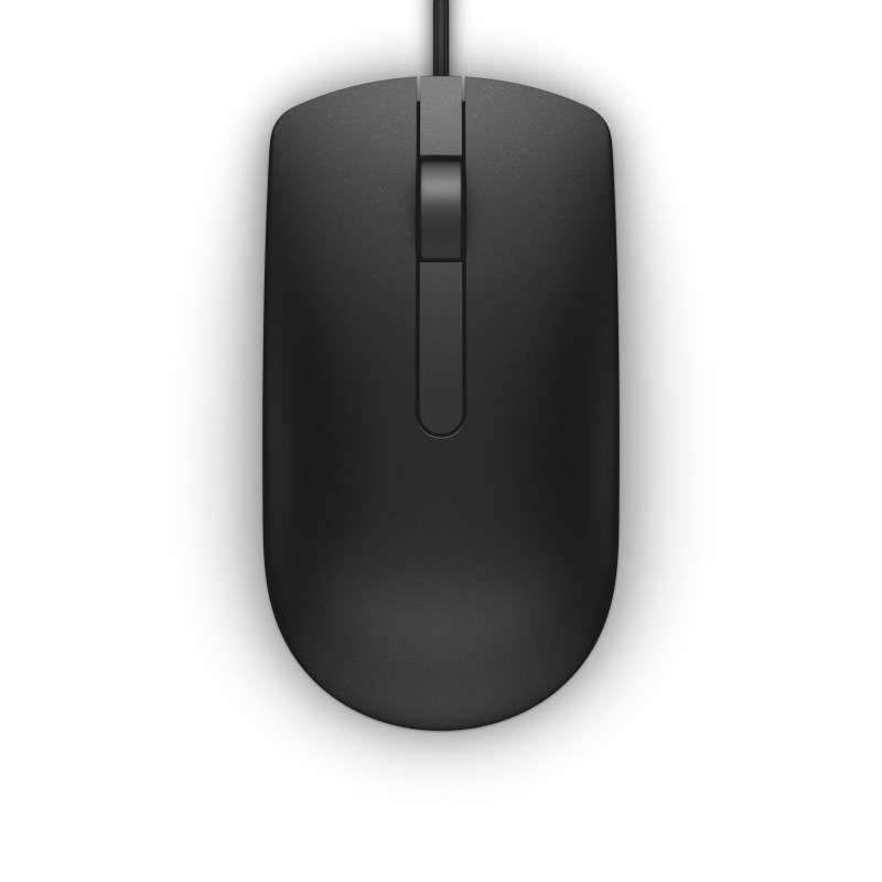 DELL MS116 mouse Ambidestro USB tipo A Ottico 1000 DPI