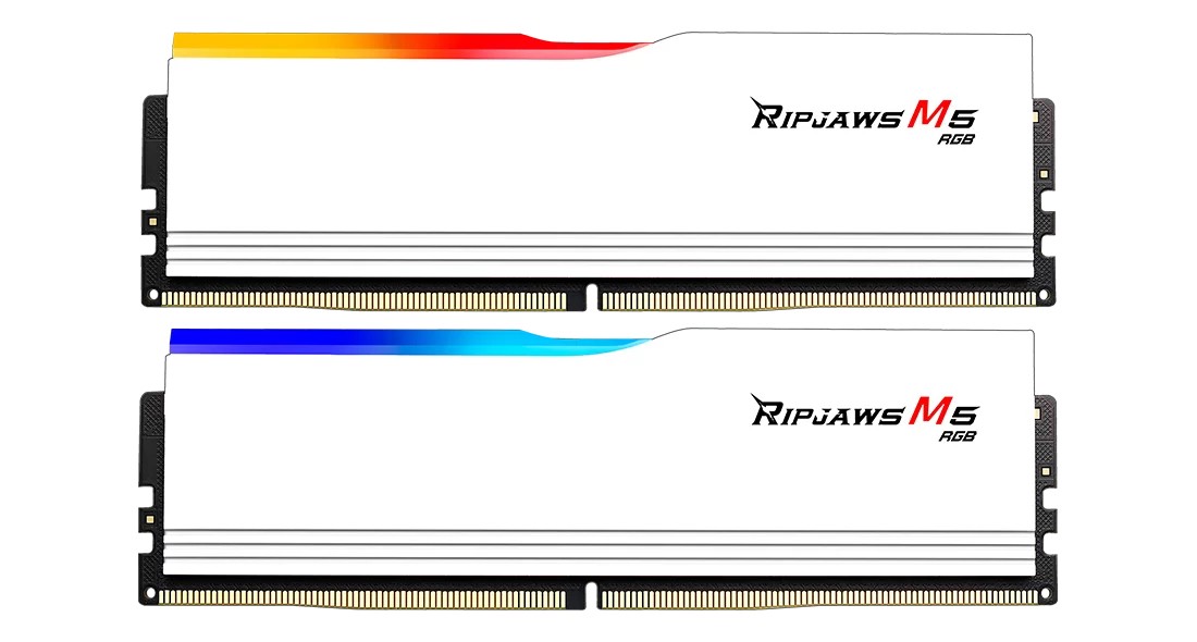G.Skill F5-6000J3238G32GX2-RM5RW memoria 64 GB 2 x 32 GB DDR5 6000 MHz