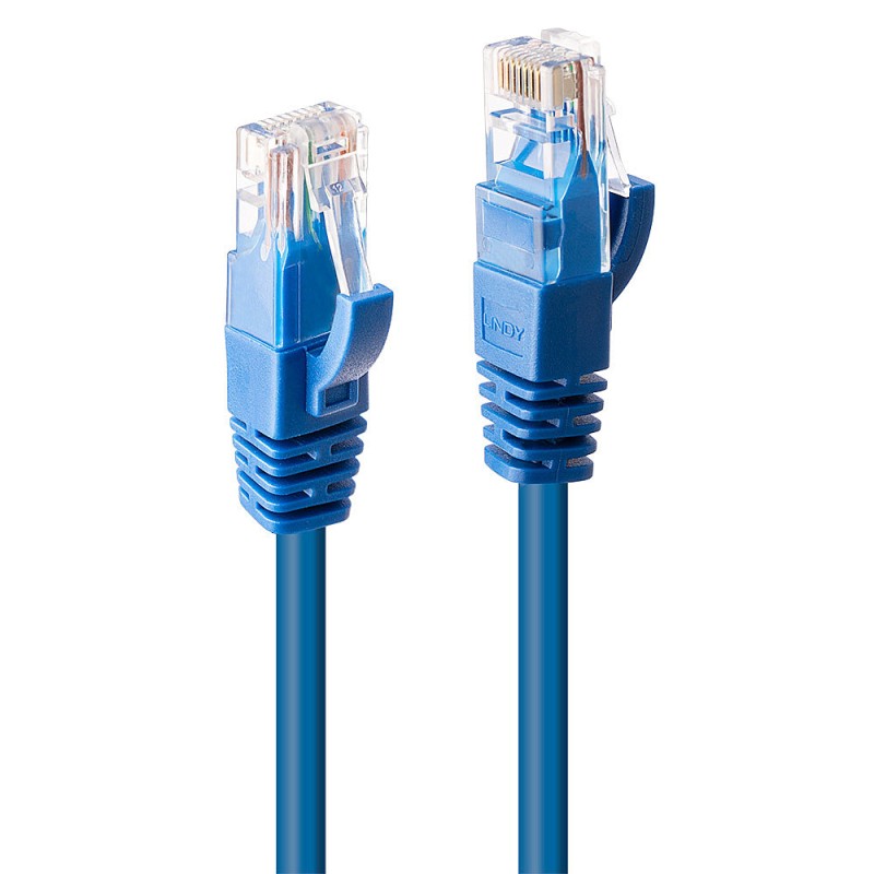 Lindy 48015 cavo di rete Blu 0.3 m Cat6 U/UTP (UTP)