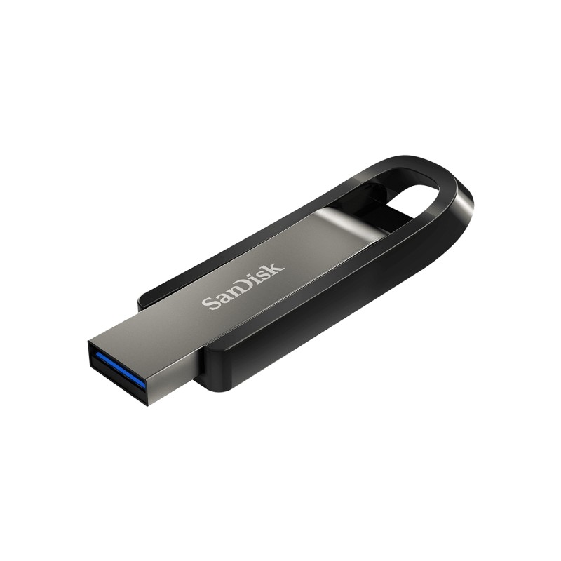 SanDisk Extreme Go unità flash USB 256 GB tipo A 3.2 Gen 1 (3.1 1) Stainless steel