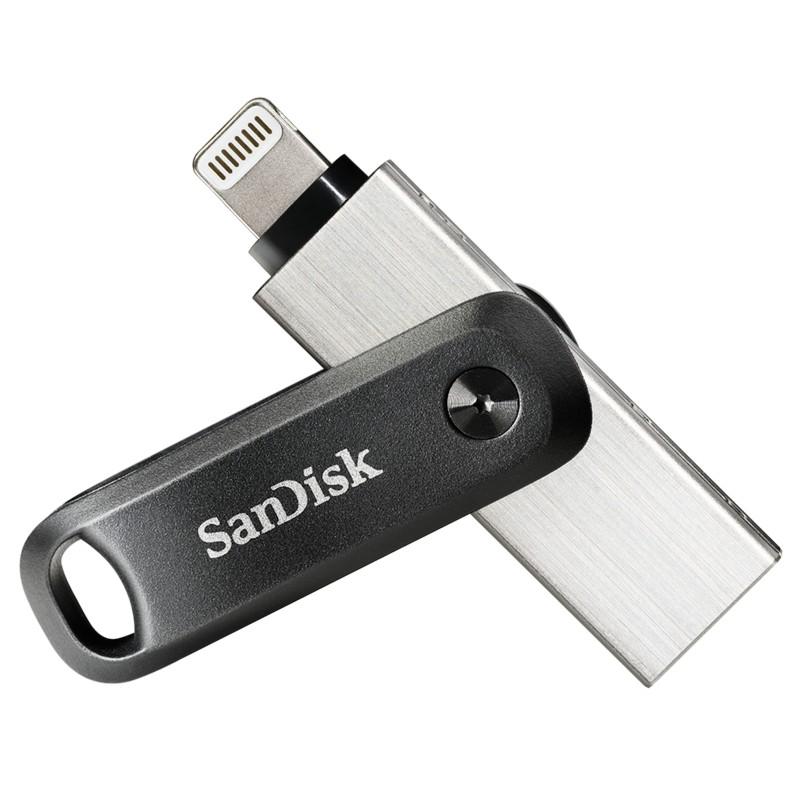 SanDisk SDIX60N-256G-GN6NE unità flash USB 256 GB 3.2 Gen 1 (3.1 1) Grigio Argento