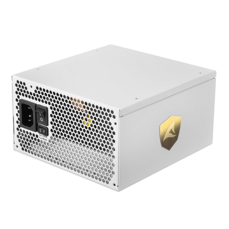 Sharkoon Rebel P30 Gold alimentatore per computer 1000 W 20+4 pin ATX Bianco
