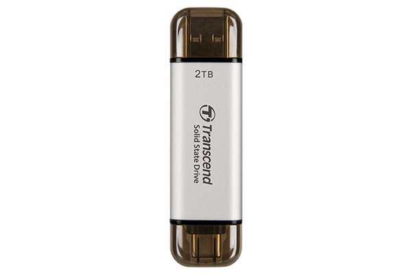 Transcend ESD310 1 TB Argento