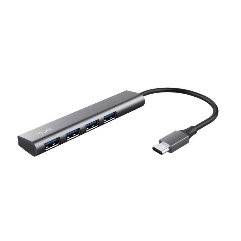 Trust Halyx USB 3.2 Gen 1 (3.1 1) Type-A 5 Mbit/s Grigio