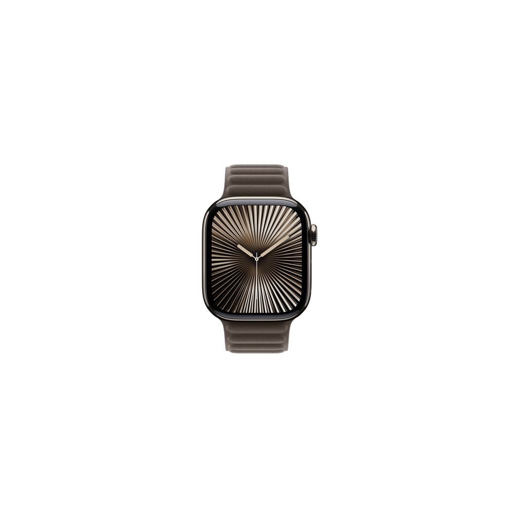 APPLE 42mm Dark Taupe Magnetic Link - M/L