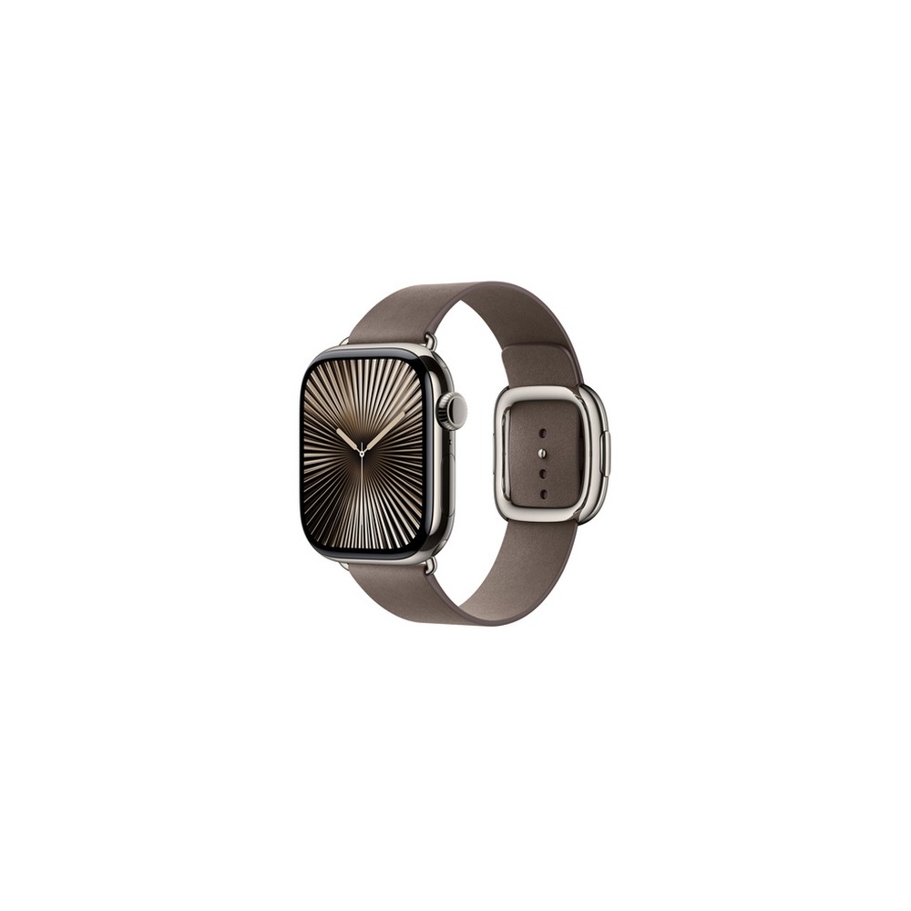 APPLE 42mm Dark Taupe Modern Buckle - Large