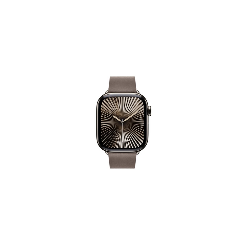 APPLE 42mm Dark Taupe Modern Buckle - Small