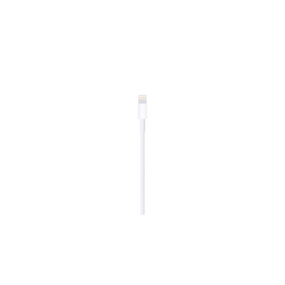 APPLE CAVO APPLE DA LIGHTNING A USB
