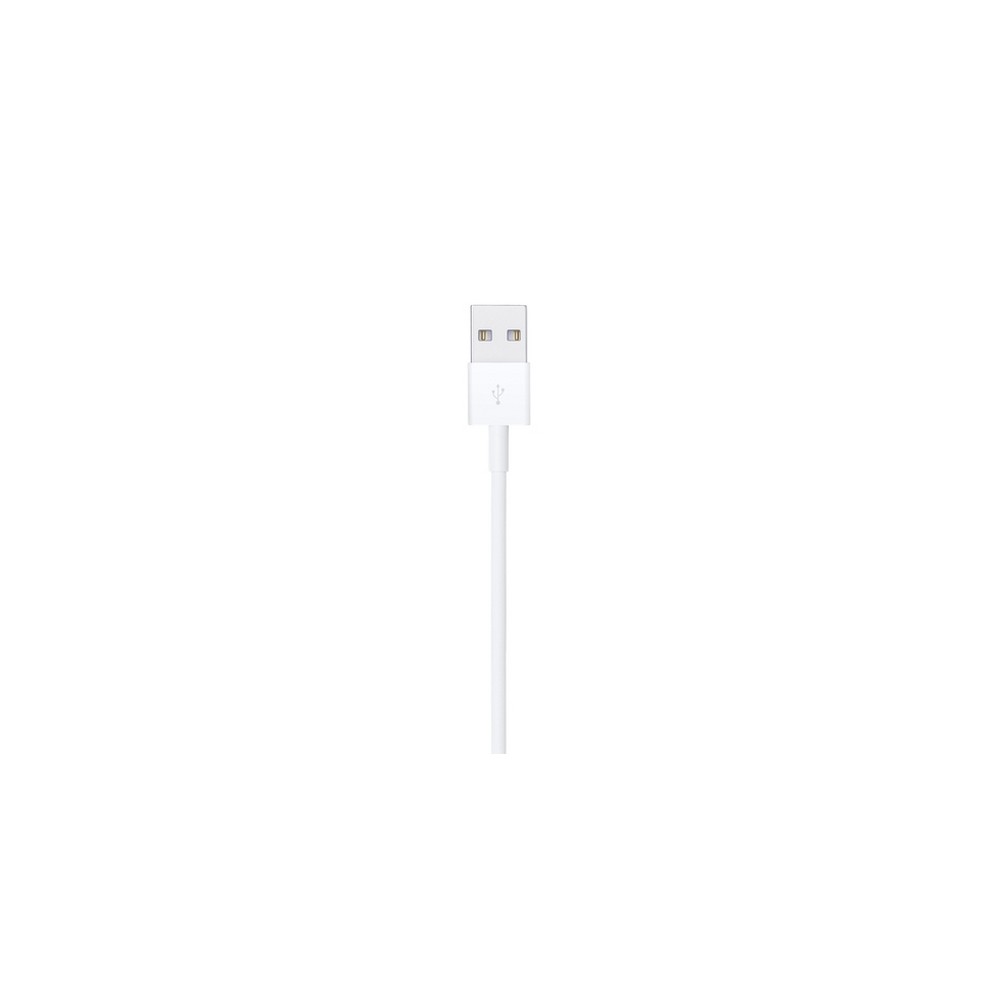 APPLE CAVO APPLE DA LIGHTNING A USB